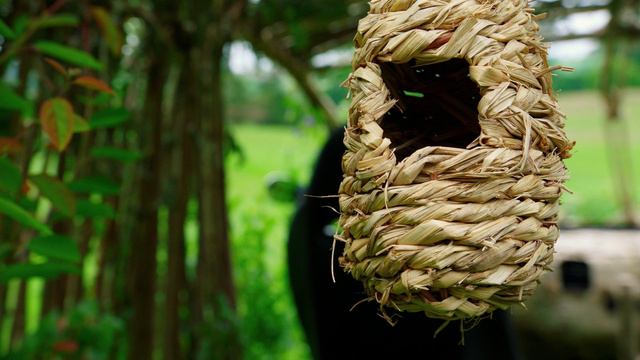 The Grand Tour (2016) Enviromental - Сезон 01, Серия 04 смотреть онлайн