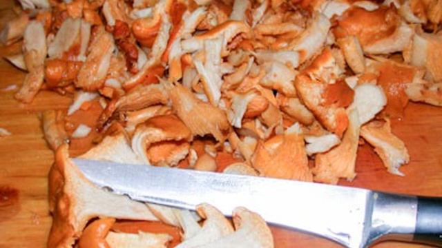 Сборник рецептов