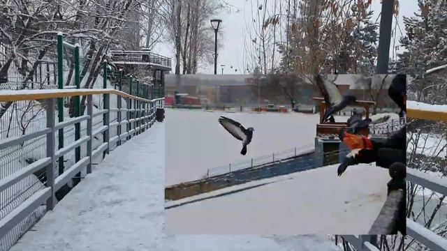 Начинающие фотографы #фотограф #фотографы #фотоаппарат #фото #съёмки смотреть онлайн