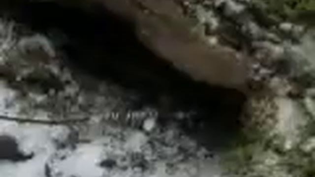 5,01,13 куница.AVI смотреть онлайн