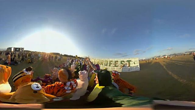 всё смешалось люди, звери, доброфест смотреть онлайн