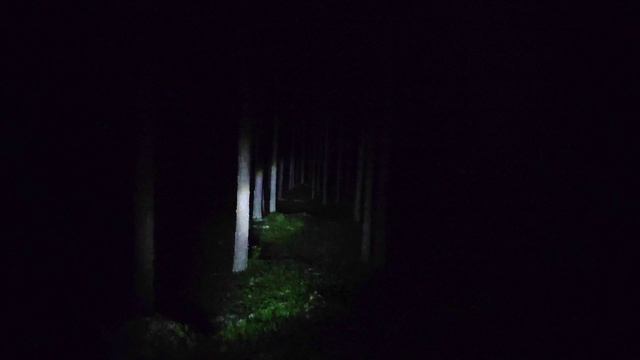 ? Ведьма пыталась нас остановить любыми способами, мы пытались выжить | в конце жесть | Часть 1 смотреть онлайн