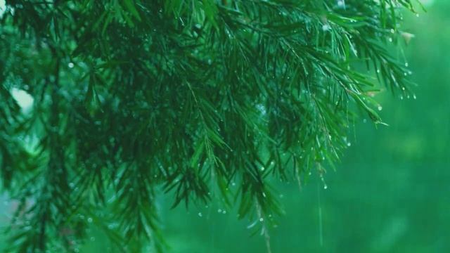 Звуки дождя, успокаивающая фортепианная музыка. Расслабляющая музыка. Часть 7.mp4 смотреть онлайн