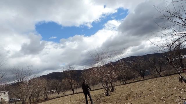 МОТОБЛОК И НЕ ТОЛЬКО. смотреть онлайн