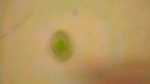 1 часть закрутки спинера незнаю но я думаю дебильное видио смотреть онлайн