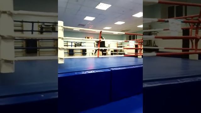 Спортсмены областной федерации Савата Липецкой области представляющие Данков 1 смотреть онлайн