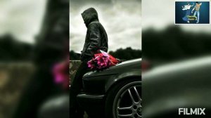 Х1ай са дог Валид Гадаев