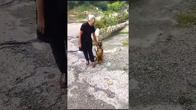 18 Занятие Базовые команды ОКД .Работа на выдержку . смотреть онлайн