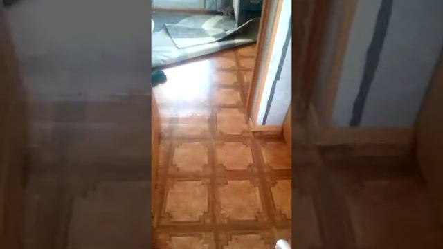 Моем пол смотреть онлайн