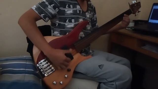 Aretes de la luna Bass cover, Washburn ABT Force 5 fretless смотреть онлайн