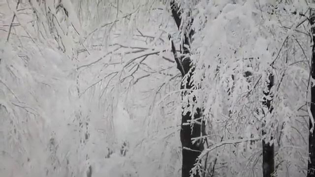 А.С. Пушкин - В тот год осенняя погода... (Евгений Онегин) смотреть онлайн