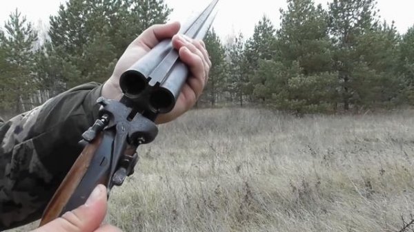 ТОЗ-БМ ОБЗОР на ружье