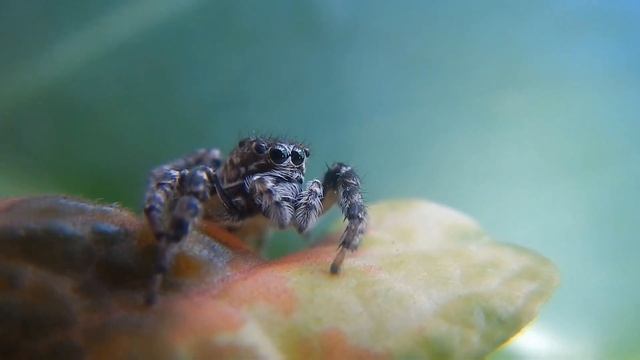 Успокаивающая, лечебная музыка. @Relax_Musik_Healing #youtube #relax смотреть онлайн