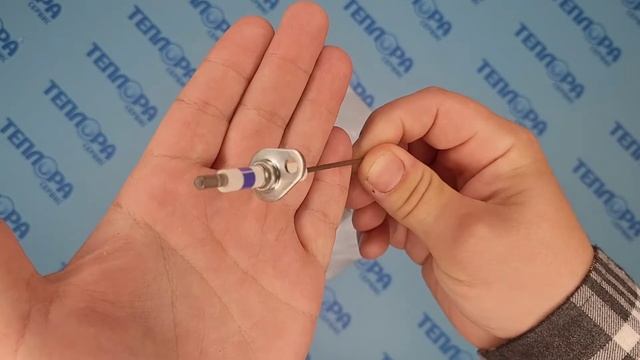 0020027505 Электрод ионизации Protherm Медведь KLZ, KLOM смотреть онлайн