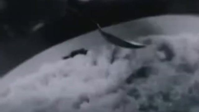 Белое - это чёрное. смотреть онлайн