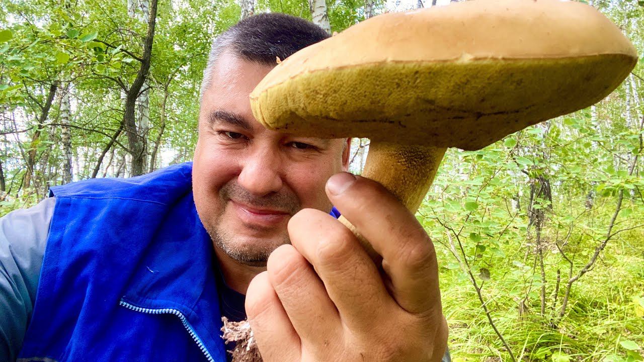 Огромные белые от дяди Леши ! вечерний стрим смотреть онлайн