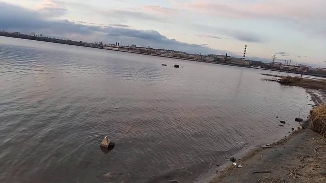 19.04.2020 Визовский пруд / красота / смотреть онлайн