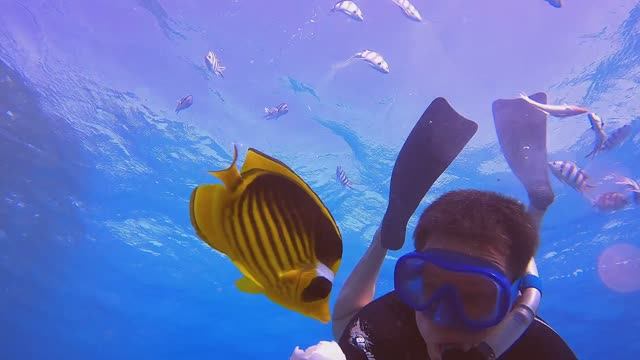 Красное море