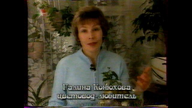 2001 г. бт: Сад мечты: комнатные растения зимой, смородина и малина,тис ягодный, Бонсаи смотреть онлайн