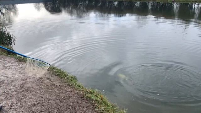 Еще поимки с водоема смотреть онлайн