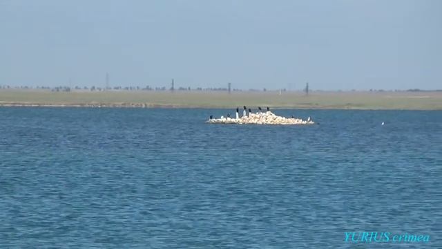 Ойбурское озеро. Мертвое море Крыма. смотреть онлайн