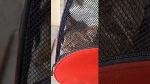 Наши мальчики в клинике