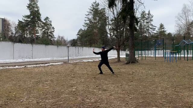 Тайцзицюань 48 форм