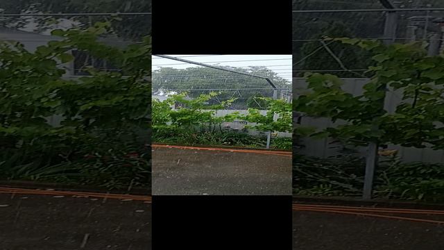 1000034271.mp4 смотреть онлайн