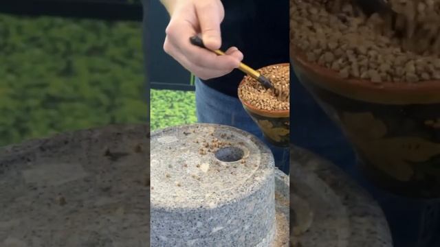 Как делают настоящую муку? Алтайский край на выставке «Россия» смотреть онлайн