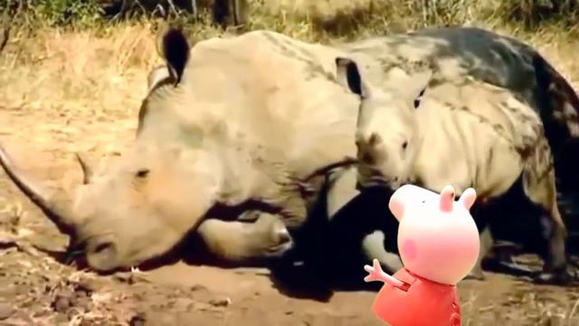 Свинка Пеппа ☻ Поход в Зоопарк смотреть онлайн