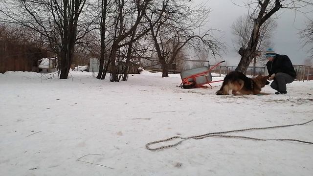 VID_20230114_184918.mp4 смотреть онлайн