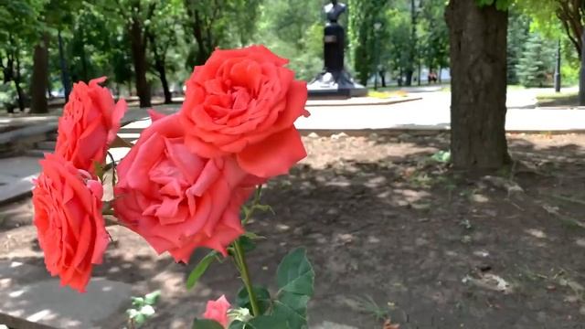 Столица Донецкой Народной Республики | Донецк ДНР смотреть онлайн