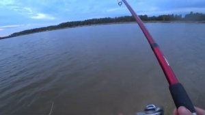 Рыбалка Раково очень  много  рыбы Жор карпа рыбалка в подмосковье с ночевкой