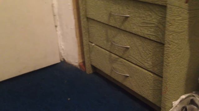 Chinchilla runs and cleans part 1 смотреть онлайн