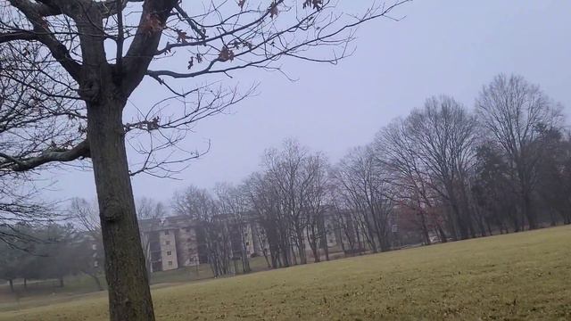 США:ОРУЖИЕ, РОЗЫ, АБОРТЫ И НАСТОЯЩИЕ ДРУЗЬЯ..МОИ ВОПРОСЫ- ВАШИ ОТВЕТЫ, С ЛЮБОВЬЮ❤️ смотреть онлайн