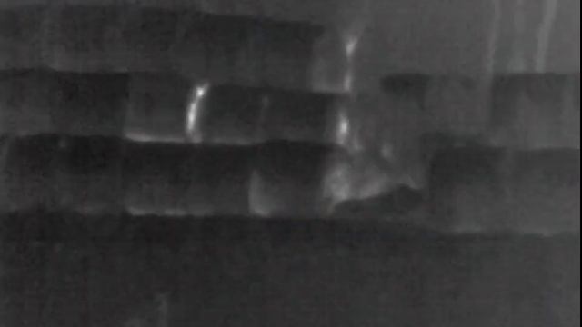 Охота на зайцев ночью в тепловизор смотреть онлайн