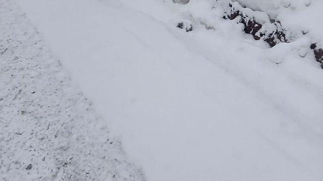 Ремонт трамвайных путей на улице Авиационная у метро "Щукинская".31.01.21. смотреть онлайн