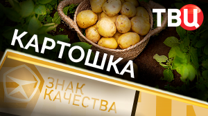 Картошка. Знак качества