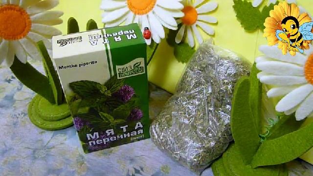 Фотоэпиляция: как подготовиться и что ожидать