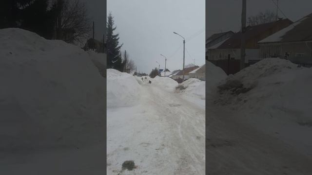Дрифт трайк из бензопилы смотреть онлайн