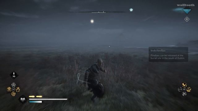 3 Irish Firefly Locations - Assassin's Creed Valhalla Wrath of the Druids смотреть онлайн