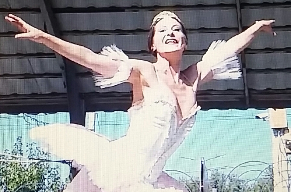 вариация Павильон Армиды - Маргарита Андреева смотреть онлайн