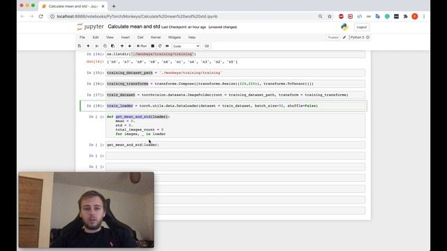 [3] How to calculate the mean and standard deviation of your image dataset (PyTorch) смотреть онлайн