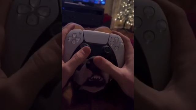 Новая версия DualSense поражает воображение