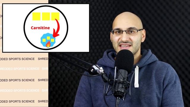 The Science of Fat Loss Explained смотреть онлайн