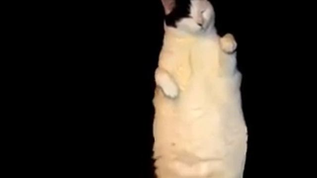 Video/mounted/Wed Oct 25 15:24:12 GMT+03:00 2017.mp4 смотреть онлайн