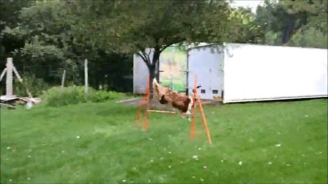 kladiny srpen смотреть онлайн