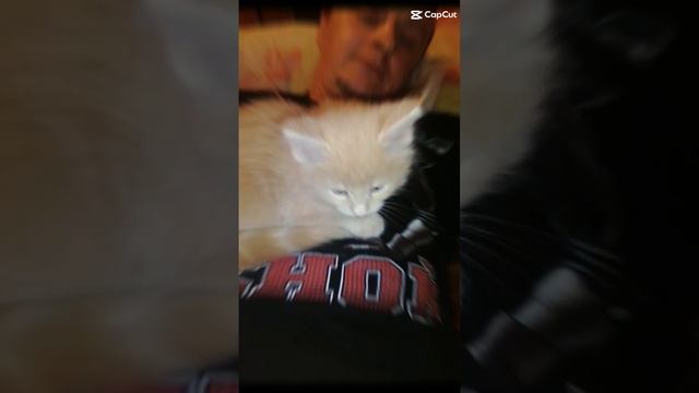 ❤️❤️❤️❤️❤️❤️🙃🙃🙃🙃🙃🙃 смотреть онлайн