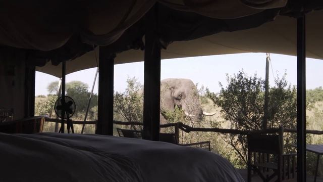 Why We Need Your Used Books!! | Volunteer Tourism смотреть онлайн