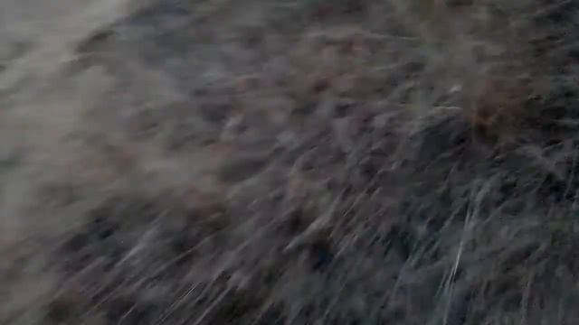 Прошли мимо охраны шёл друг смотреть онлайн